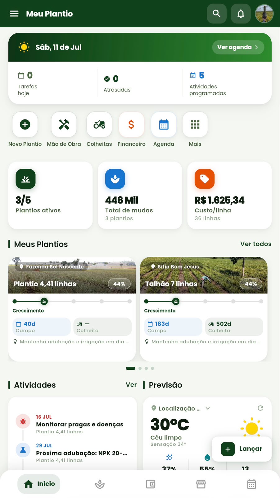 Dashboard do Meu Plantio com plantios ativos, total de mudas, custo por linha, atividades e previsão do tempo